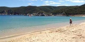 kalamitsi beach 2